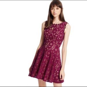 City Studio Lace Dress in Plum